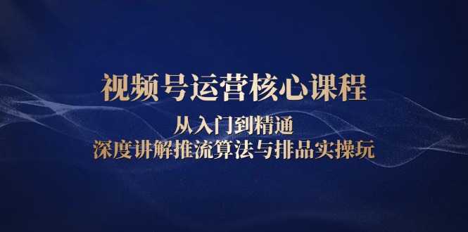 视频号运营核心课程，从入门到精通，深度讲解推流算法与排品实操玩